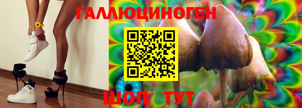 Скопин  сколько стоит  Вход с VPN  Галлюциногенные грибы Psilocybe 